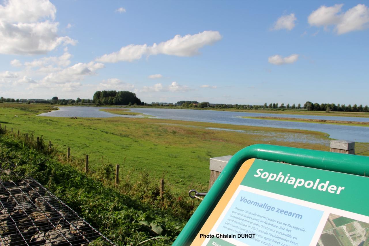 Sur les polders de Vandamme